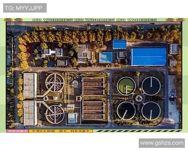 球类运动全景解析：探索各类球类运动的起源、规则及发展趋势